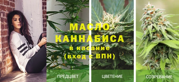 ГАЛЛЮЦИНОГЕННЫЕ ГРИБЫ Беломорск